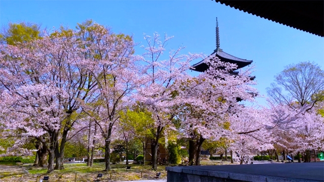 東寺の概要